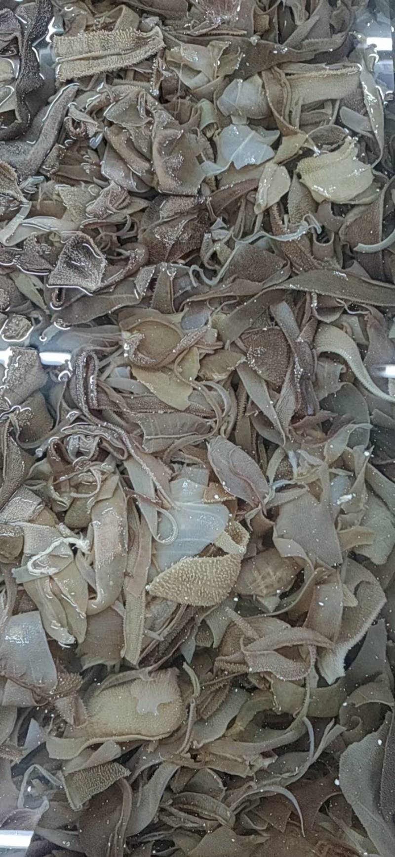 火锅毛肚碎叶片小叶片一指条二指条冒菜串串火锅食材自助食材