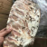风吹精品排骨（适合汤锅店，饭店，门市）一手货源