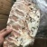 风吹精品排骨（适合汤锅店，饭店，门市）一手货源