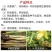 精甲霜灵咯菌腈蔬菜草莓根腐病恶苗病茎基腐病种衣剂农药