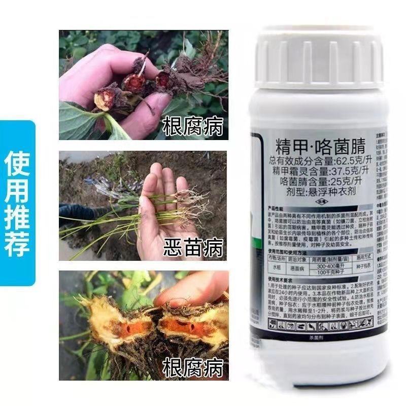 精甲霜灵咯菌腈蔬菜草莓根腐病恶苗病茎基腐病种衣剂农药