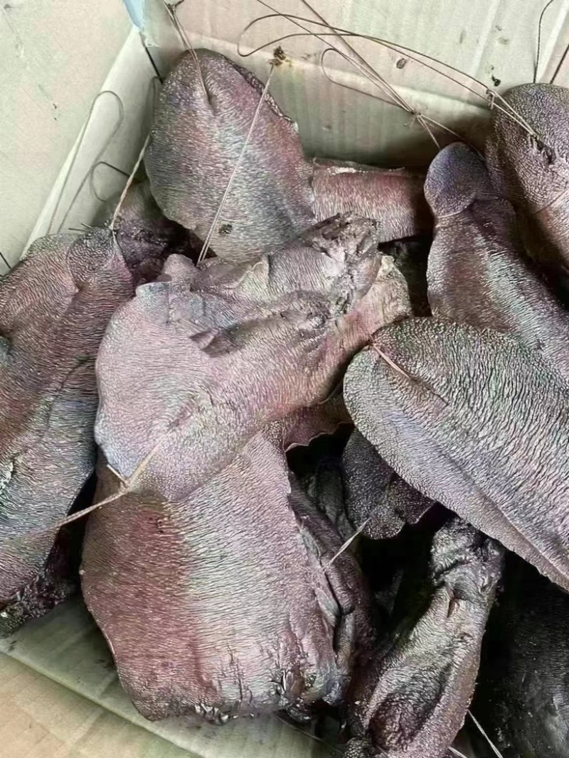 烟熏猪肝（饭店、汤锅、摆摊）厂家一手批发