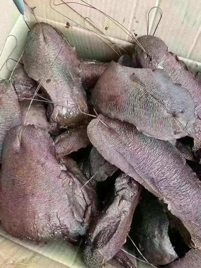 烟熏猪肝（饭店、汤锅、摆摊）厂家一手批发
