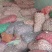 红根蒜苗种子丰县大蒜种子产地川蒜二月早现货精品质优