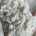 豆制品下脚料生豆渣.豆腐渣饲料含蛋白高易吸收降低饲养成本