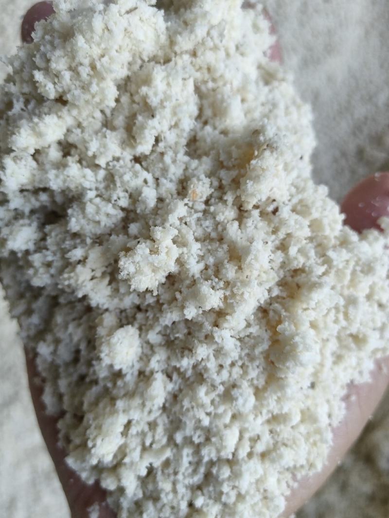 豆制品下脚料生豆渣.豆腐渣饲料含蛋白高易吸收降低饲养成本
