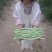 杜绝假货豆角种子架豆种子白绿色荚长40公分左右