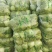 河南大白菜。精品三号菜大量上市中。产地直供量大从优。