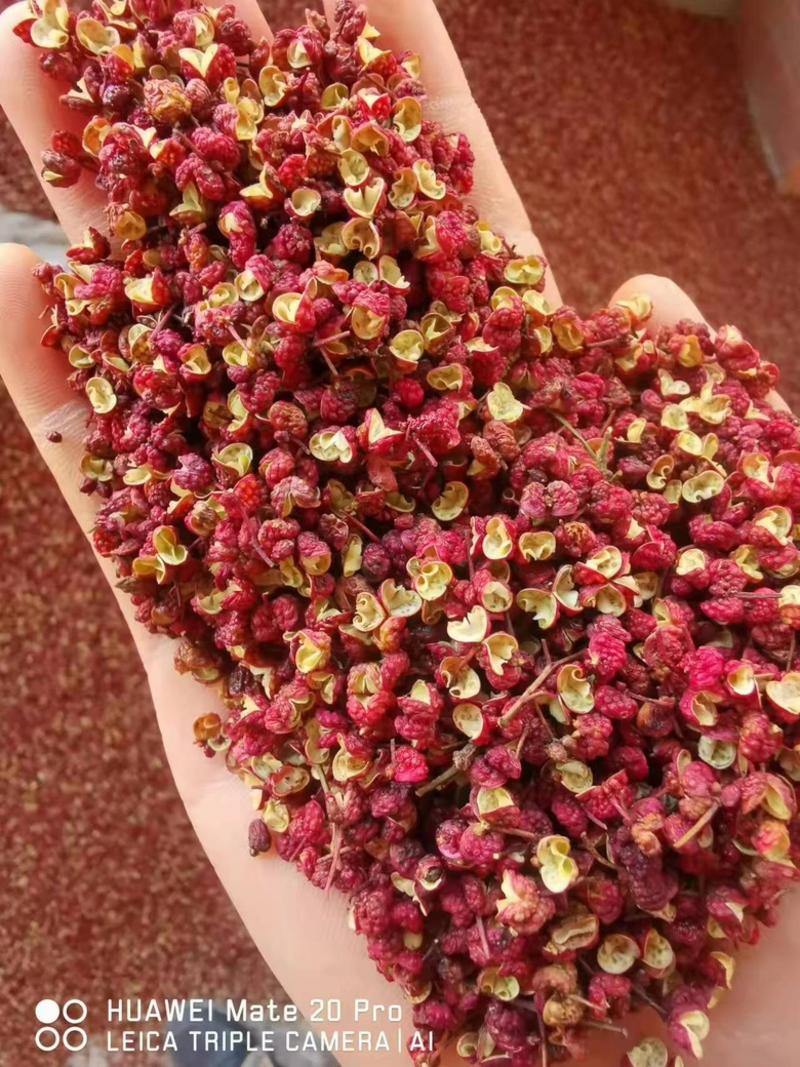 【实图】韩城大红袍花椒，色泽好颗粒大，一手供应对接各大渠道