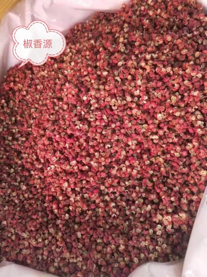 【实图】韩城大红袍花椒，色泽好颗粒大，一手供应对接各大渠道
