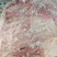 肥猪带皮五花肉猪肉河南冷冻猪副产品冷冻猪肉排骨
