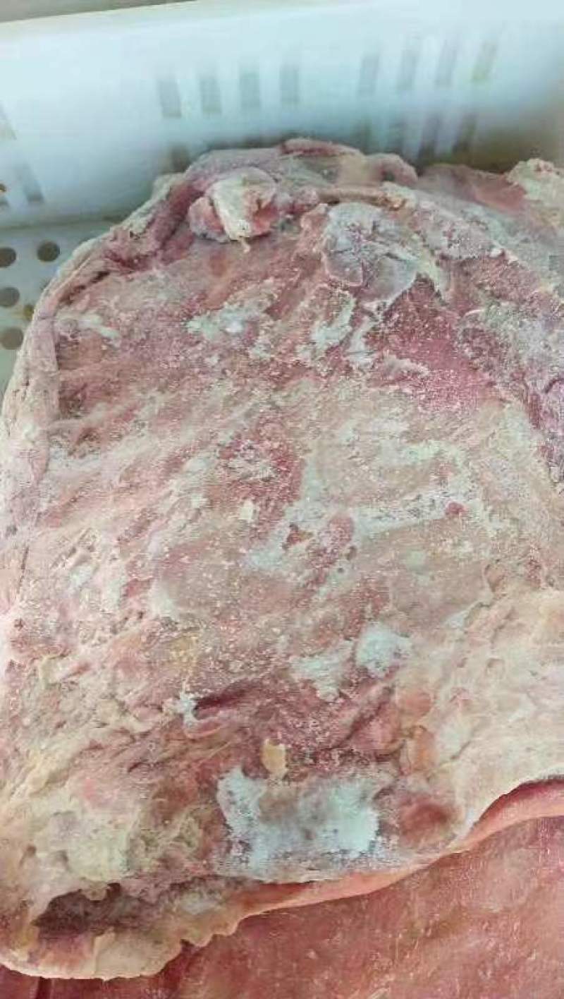 肥猪带皮五花肉猪肉河南冷冻猪副产品冷冻猪肉排骨