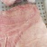 肥猪带皮五花肉猪肉河南冷冻猪副产品冷冻猪肉排骨