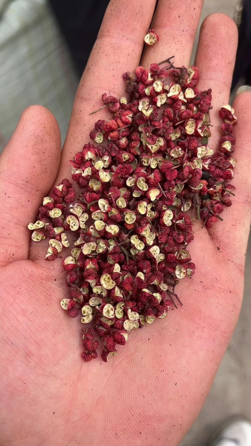 花椒韩城大红袍花椒，一手货源颗粒饱满，产地直发全国发货