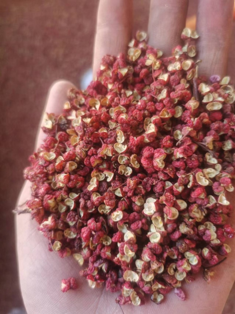花椒韩城大红袍花椒，一手货源颗粒饱满，产地直发全国发货