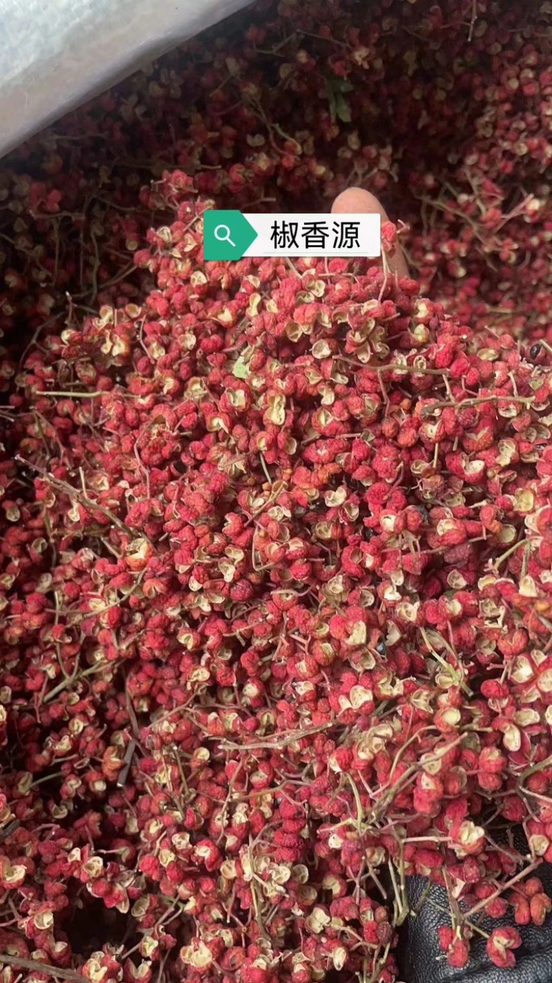 花椒韩城大红袍花椒，一手货源颗粒饱满，产地直发全国发货
