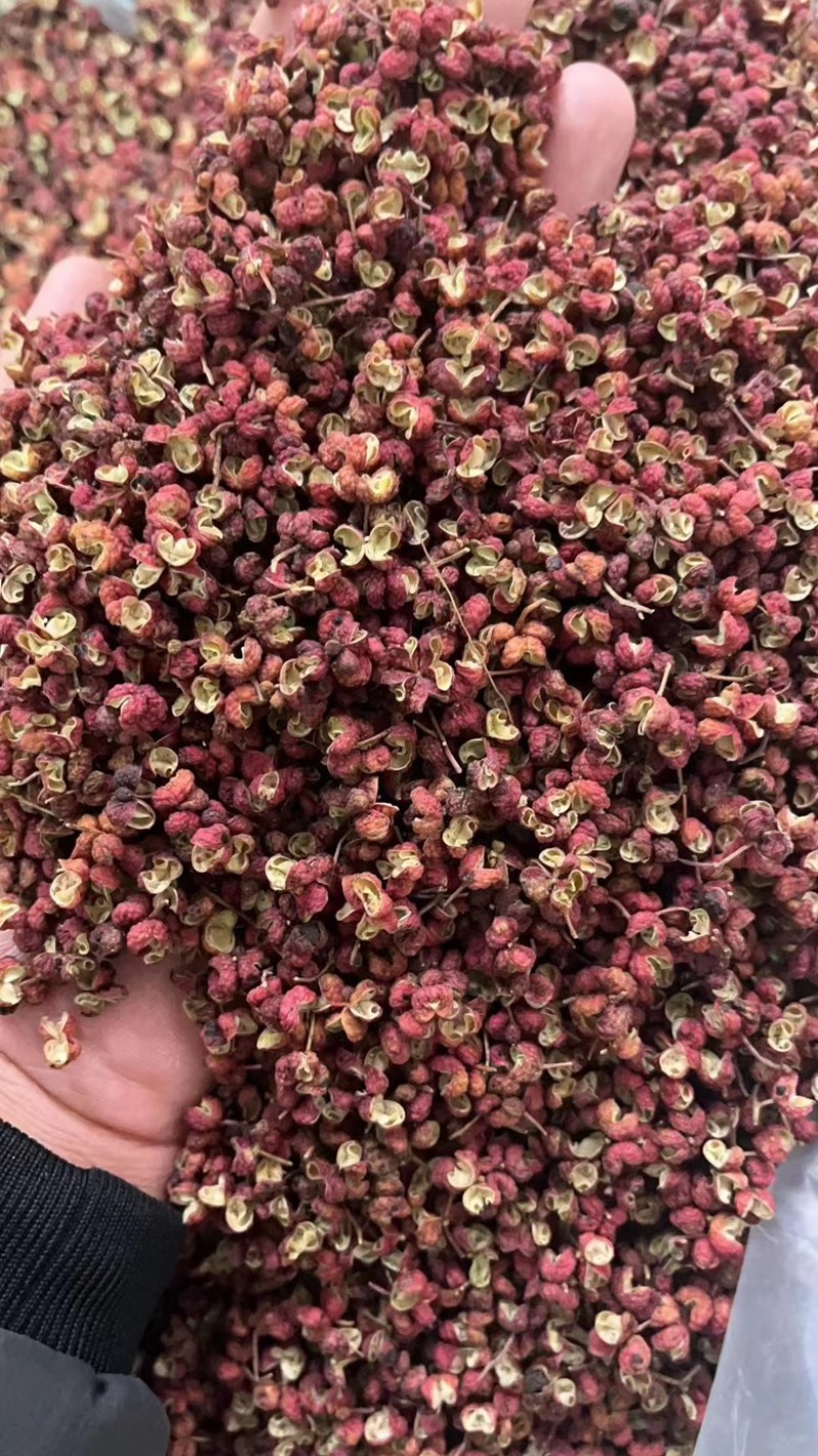 花椒韩城大红袍花椒，一手货源颗粒饱满，产地直发全国发货