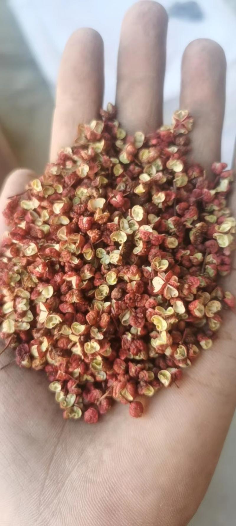 花椒韩城大红袍花椒，一手货源颗粒饱满，产地直发全国发货
