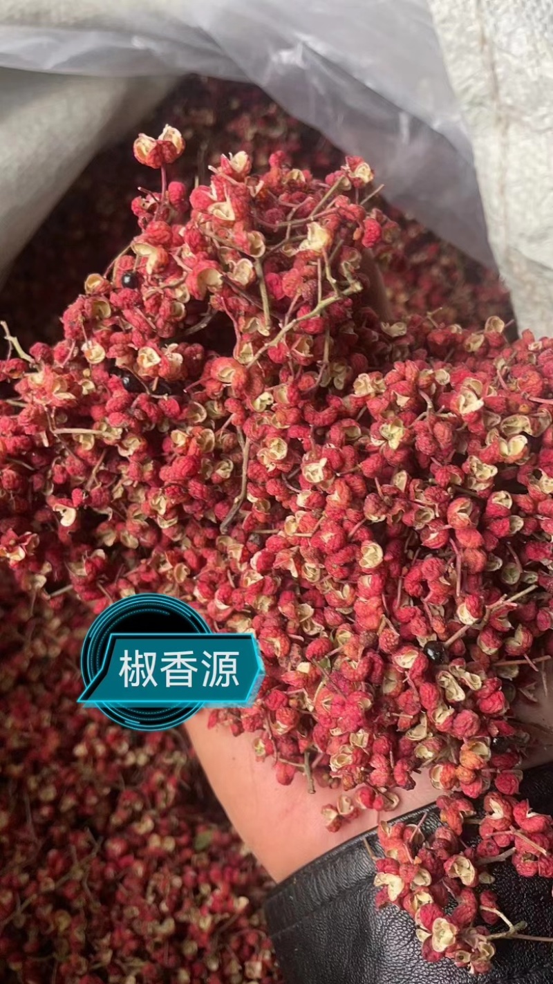花椒韩城大红袍花椒，一手货源颗粒饱满，产地直发全国发货