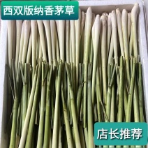 西双版纳香茅草，可随时采摘，量大从优，供应全国市场