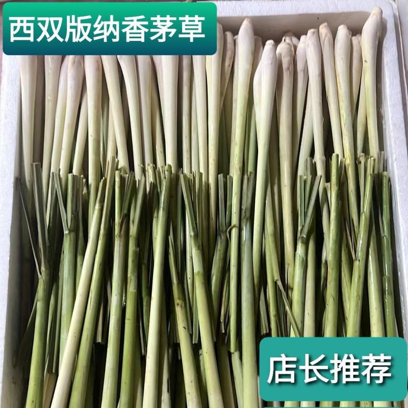 西双版纳香茅草，可随时采摘，量大从优，供应全国市场