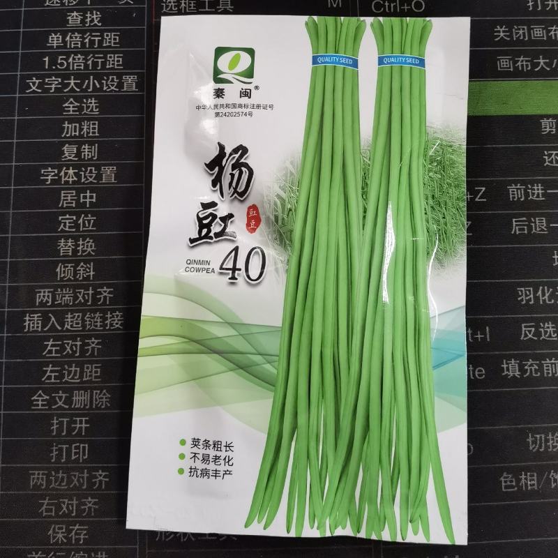 杨豇40豇豆种子长豆角种子长豆角种籽豇豆籽春夏秋季