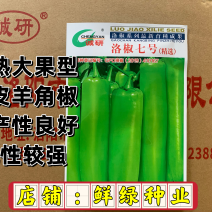 洛椒7号：早熟大果型黄皮羊角椒，丰产性良好