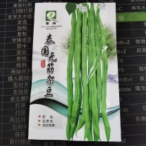 泰国无筋架豆王种子无丝豆特长架豆种籽四季豆种子早熟高产蔬