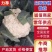 【实力福建莆田。有机松花菜青面白梗产地直发质优价廉