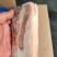 把子肉把子肉优选猪肉现货山东河南品质保障