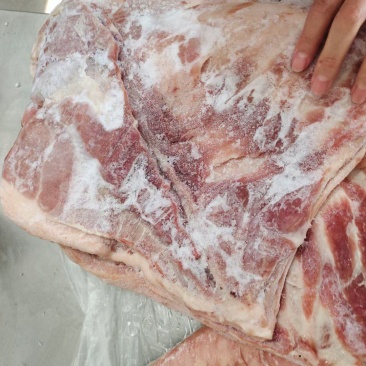 肥猪带皮五花肉现货直发品质优选现货冷冻猪肉