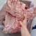 肥猪带皮五花肉现货直发品质优选现货冷冻猪肉