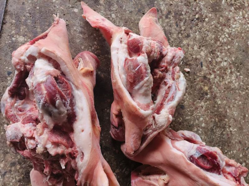 肥猪带皮五花肉现货直发品质优选现货冷冻猪肉