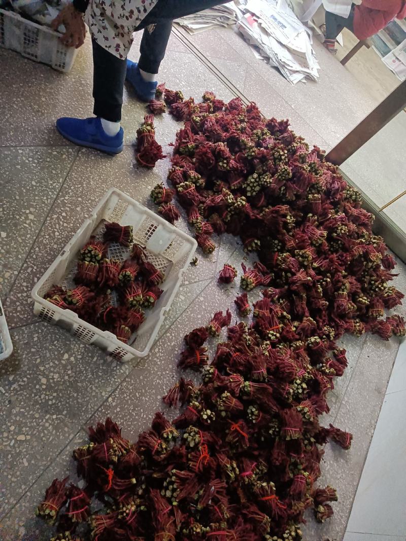 香椿芽