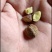 油茶鲜