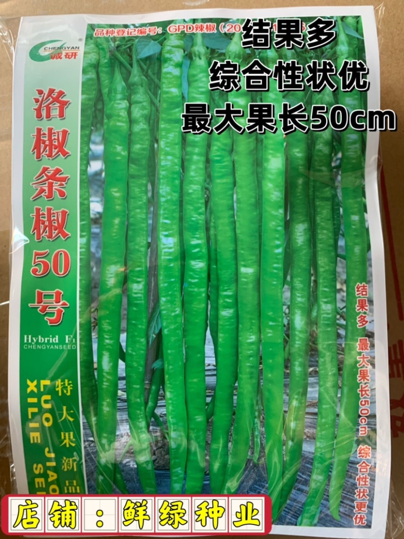 洛椒条椒50号：结果稠密集中，丰产抗病，较长较直