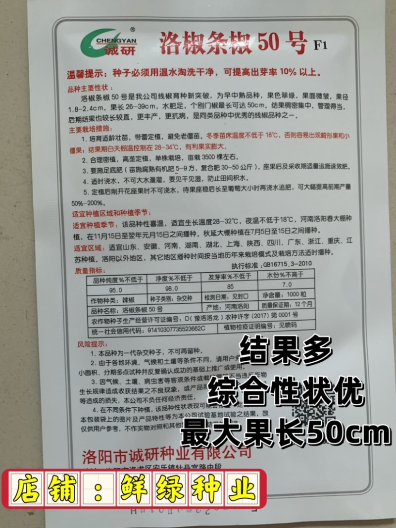 洛椒条椒50号：结果稠密集中，丰产抗病，较长较直