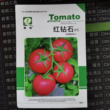 红钻石高产番茄种子籽抗TY病毒西红柿粉红果高圆形无限生长