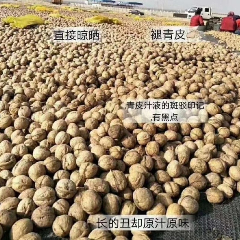 新疆18薄皮纸皮核桃礼品散装原味零食坚果礼品核桃手可捏开