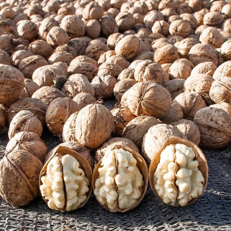 新疆18薄皮纸皮核桃礼品散装原味零食坚果礼品核桃手可捏开