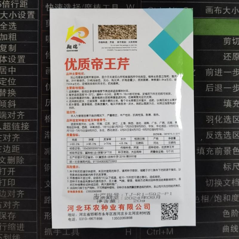 优质帝王芹菜种子西芹大颗北方南方蔬菜西芹种子四季种植菜