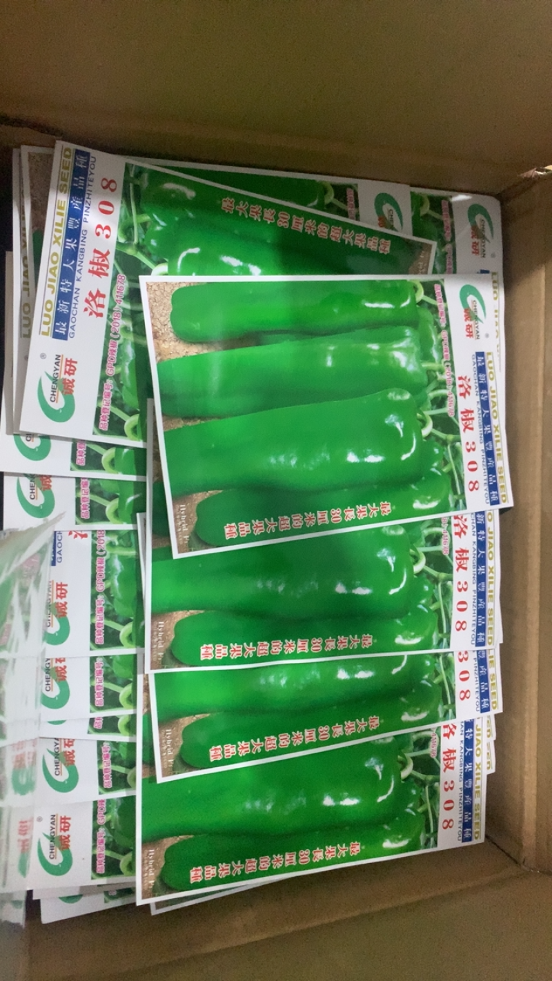 洛椒308：早熟丰产抗病品种，结果多而集中、抗高湿