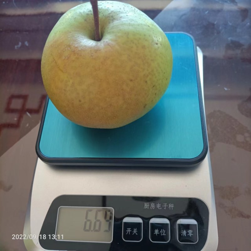 细皮苹果梨