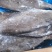 海捕深海鲽鱼比目鱼多宝鱼黄尾鲽鱼灰鲽鱼一手货源工厂直