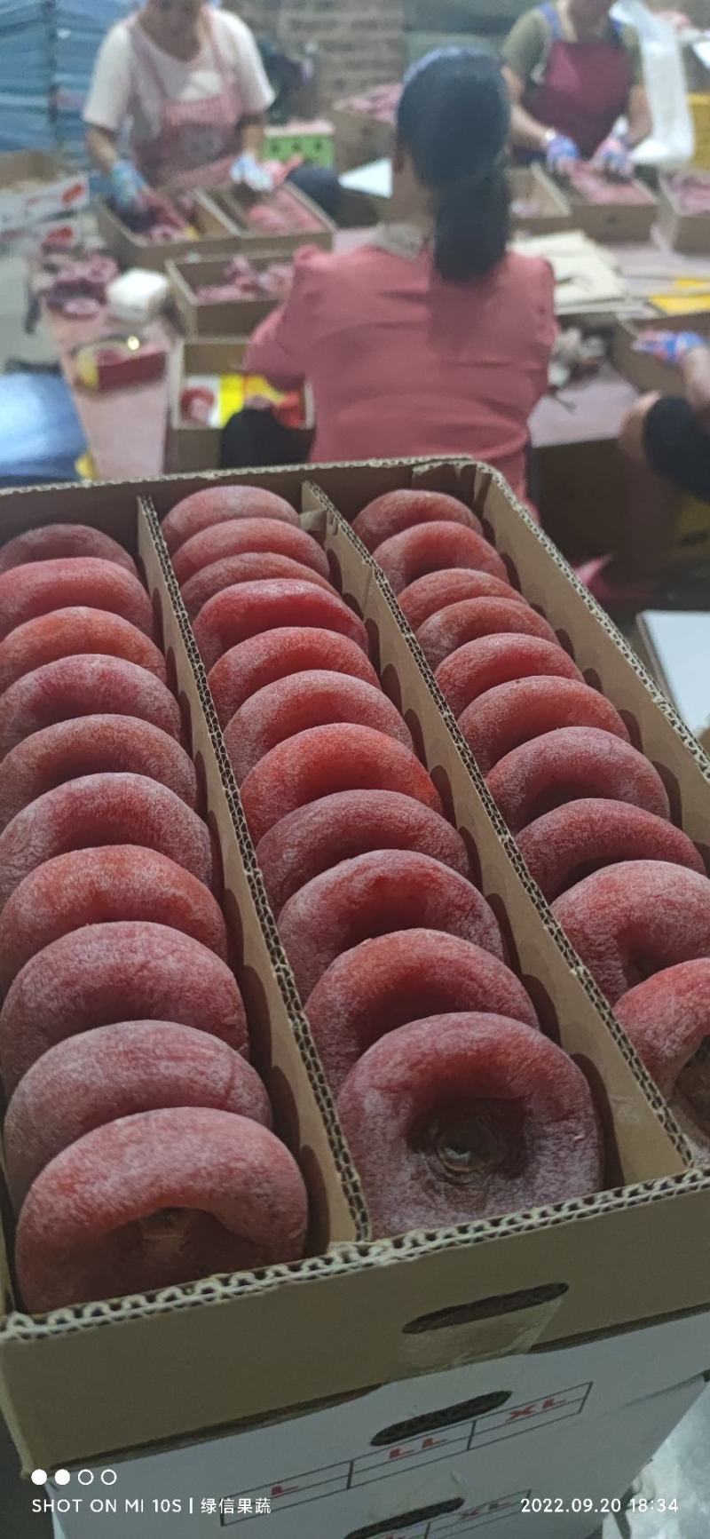 平乐柿饼纯手工制作的精品吊饼保质保量，欢迎老板来下单，
