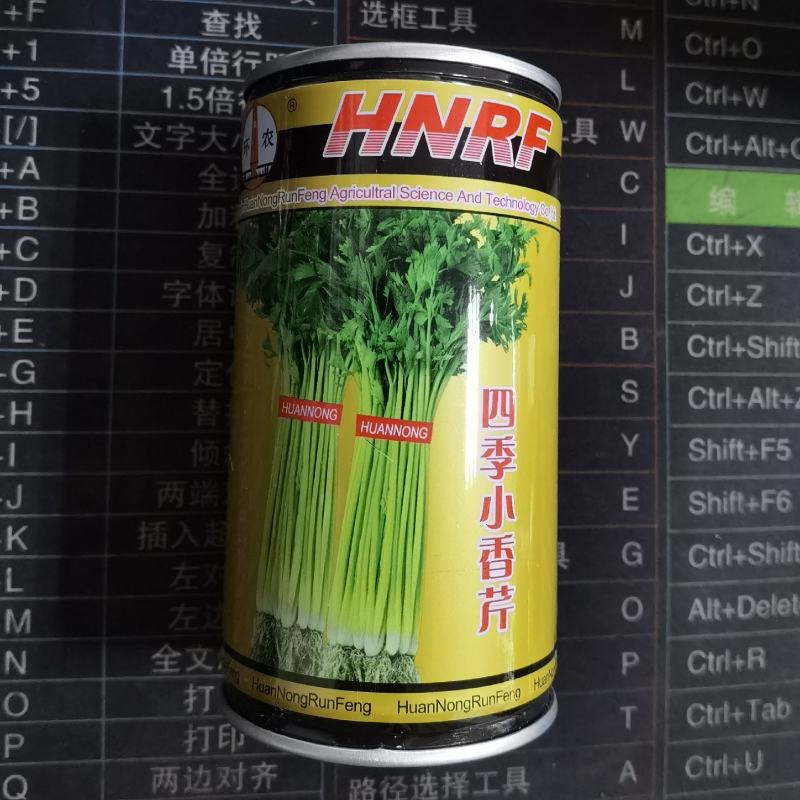 环农四季小香芹种子罐装约80g山芹香芹速生芹菜大面种植