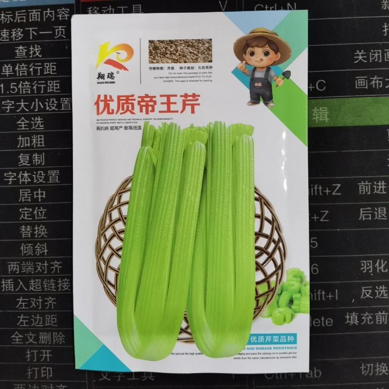 双港西芹种子80克文图拉芹菜种子精选芹菜籽株高70厘米