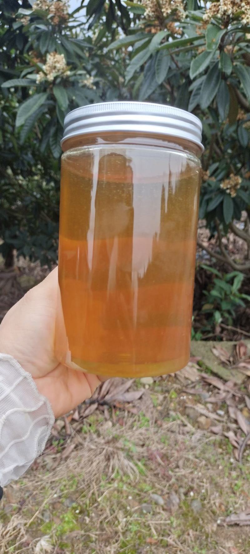 湖南资兴市清江镇小何高山蜂场，土蜂蜜，百花蜜，全国发货