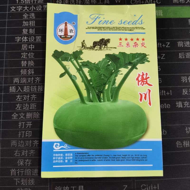 天津特菜傲川青苤兰种子水果绿苤蓝四季春季秋季种植户大面积