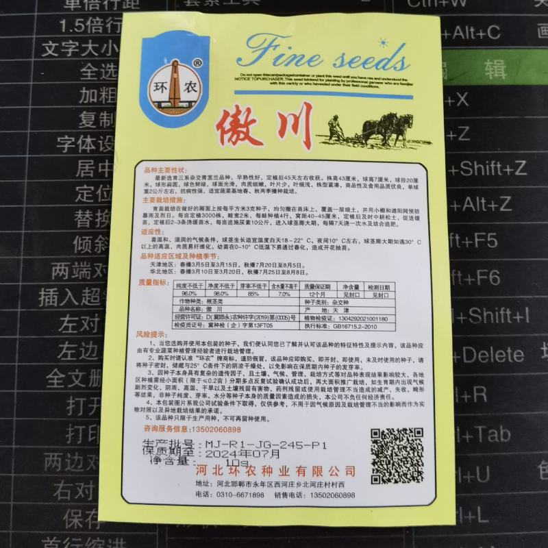 天津特菜傲川青苤兰种子水果绿苤蓝四季春季秋季种植户大面积